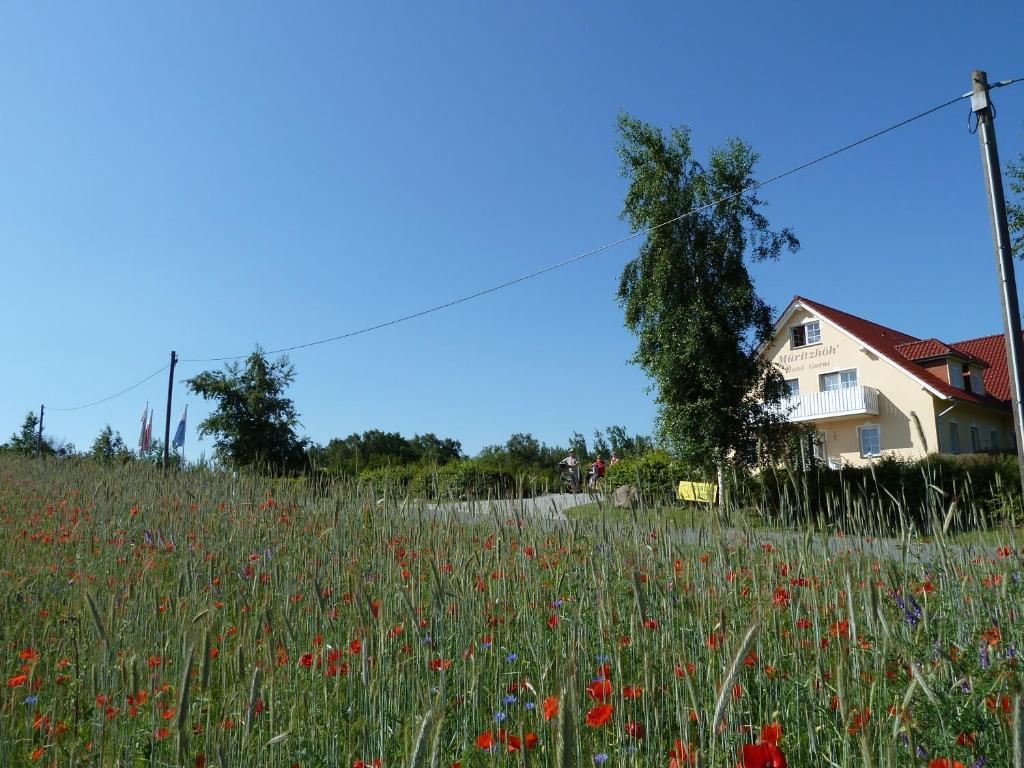 Mueritzhoeh Rechlin Exterior foto